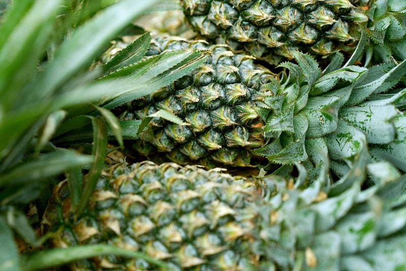 Fresh and organic options